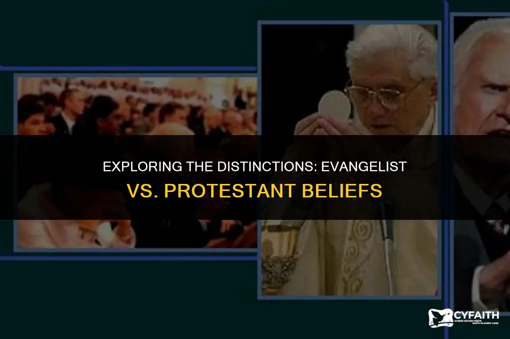 what is the difference of evangilist and protestant