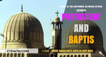 Lutheran, Catholic, Protestant, Baptist: Key Differences Explained Simply