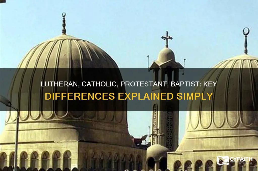 what is the differnce between luther catholic protostant and baptis