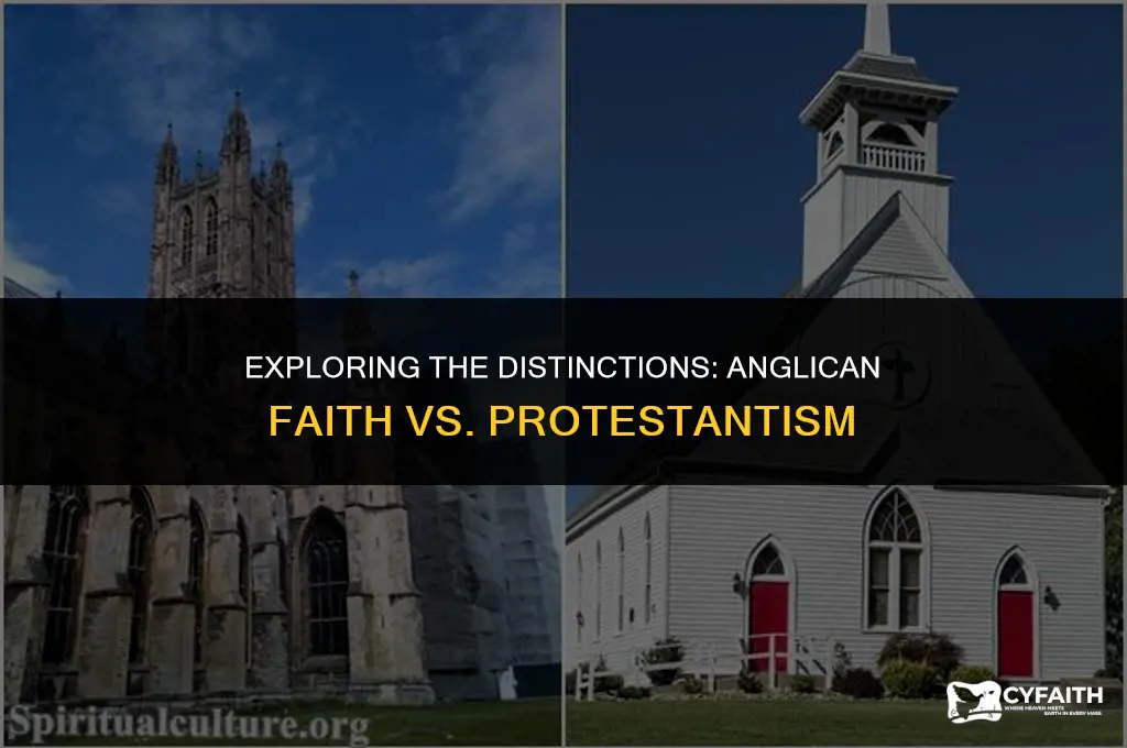 what is the differnece of aglican faith and protestant