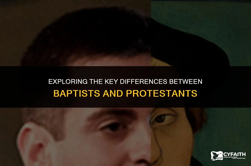 what is the differnet between babtis and protestant