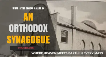 The Mechitza: Understanding the Divider in Orthodox Synagogues