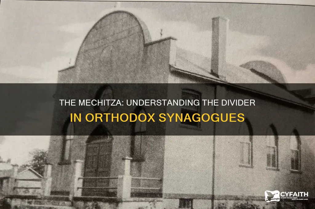 what is the divider called in an orthodox synagogue