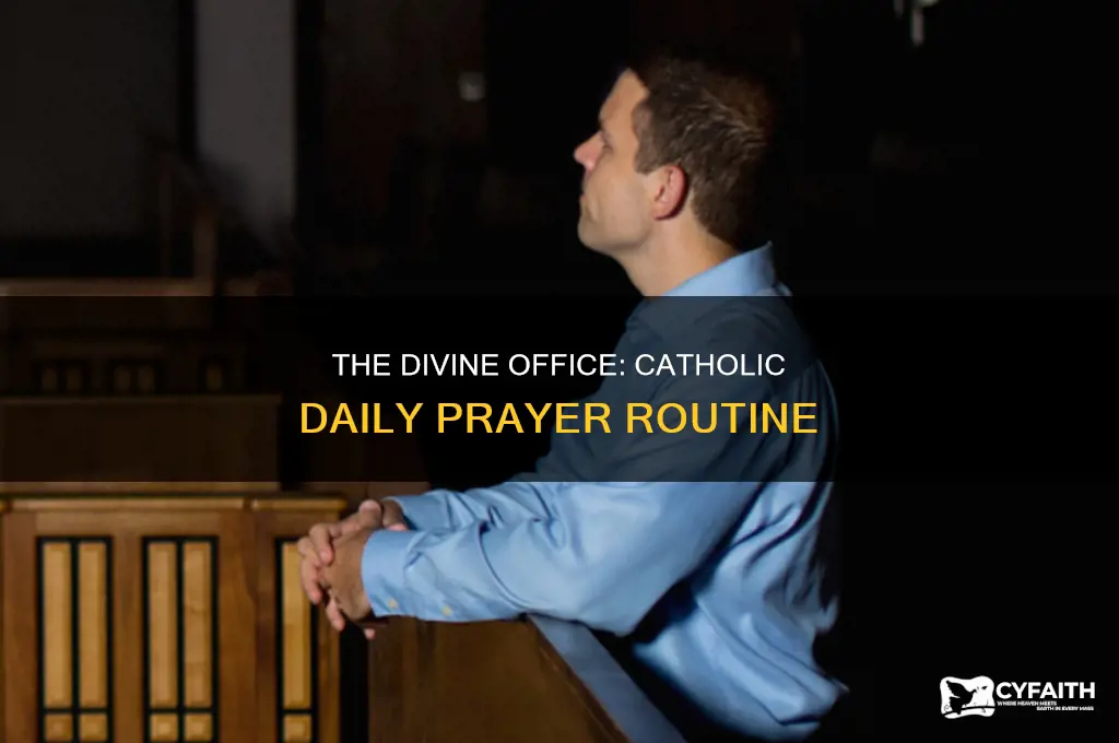 what is the divine office catholic
