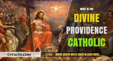 Understanding Divine Providence in Catholic Theology