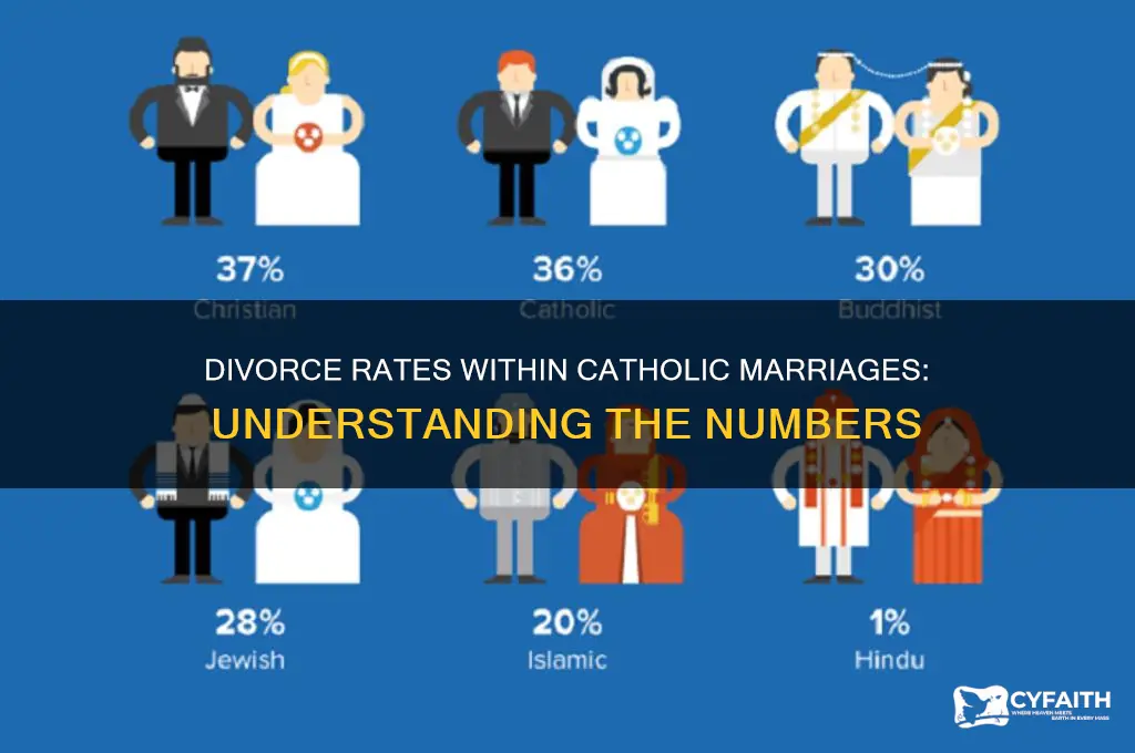what is the divorce rate among catholics