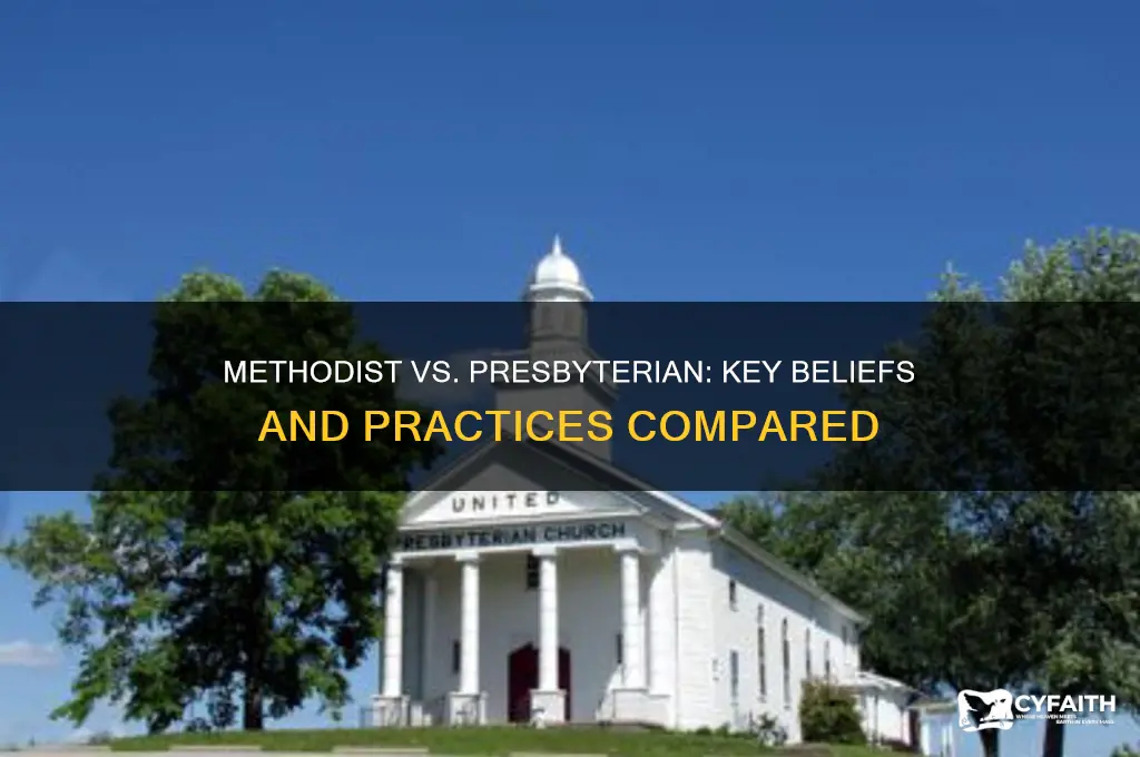 what is the dofference between methodist and presbyterian beliefs