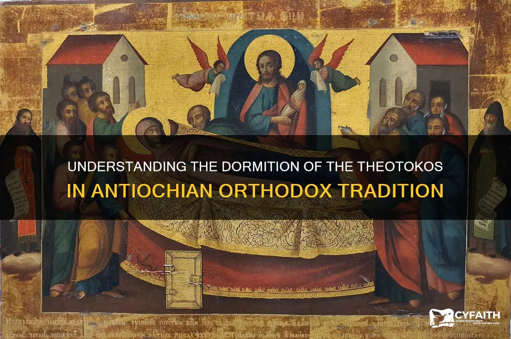what is the dormition of the theotokos antochian orthodox