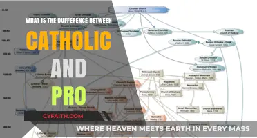 Catholic vs. Protestant: What's the Difference?