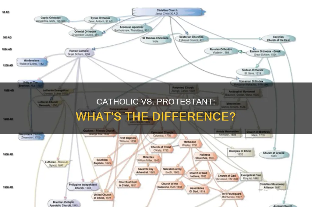what is the dufference between catholic and pro