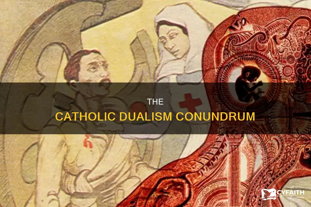 what is the error with dualism catholic