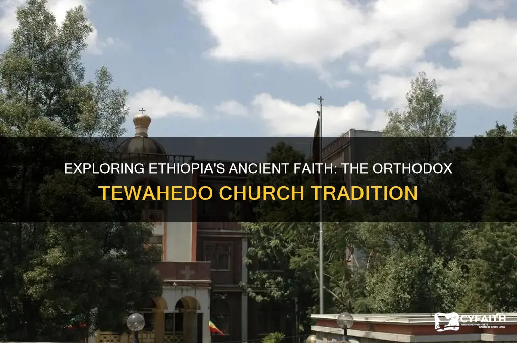 what is the ethiopian orthodox tewahedo church