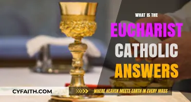 Understanding the Eucharist in Catholic Faith