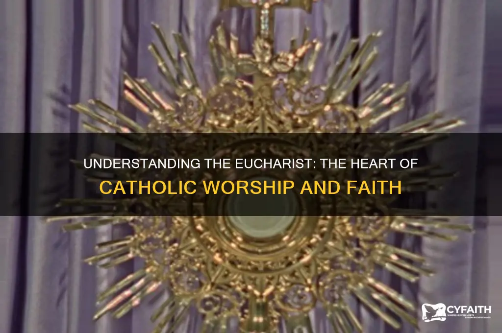 what is the eucharist catholic