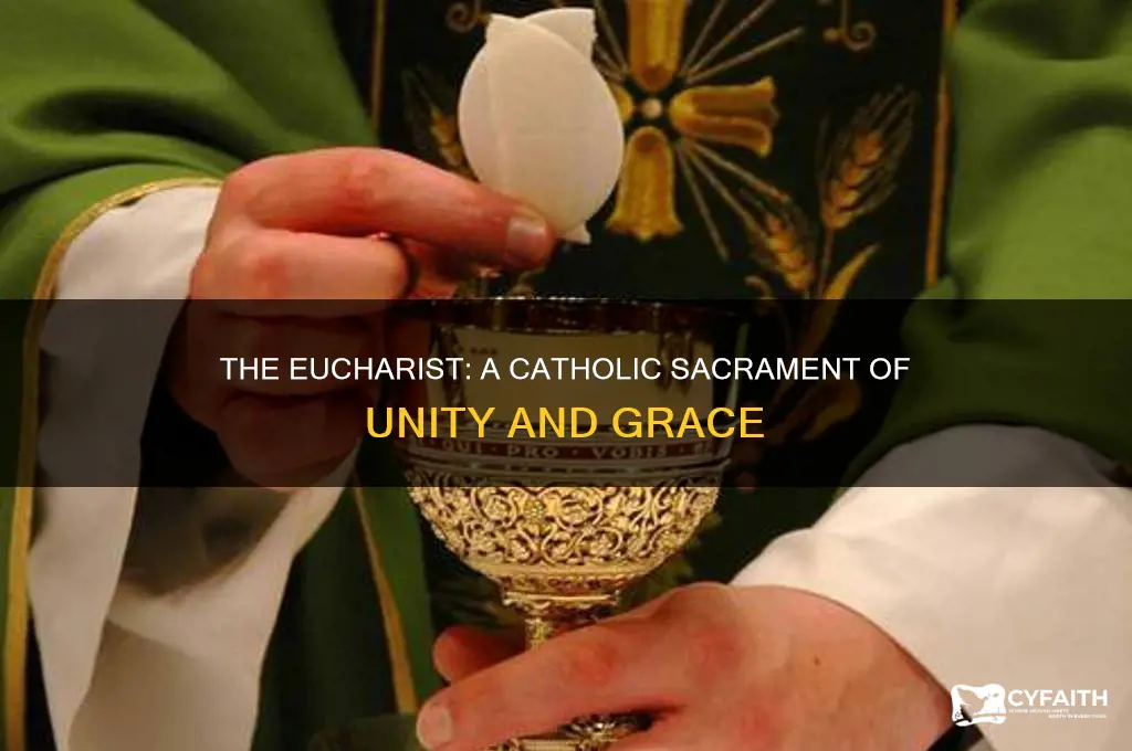 what is the eucharist for catholics