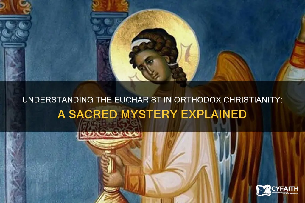 what is the eucharist orthodox