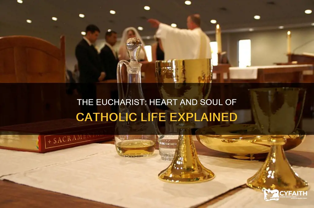 what is the eucharist the center of catholic life