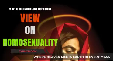 Understanding the Evangelical Protestant Perspective on Homosexuality