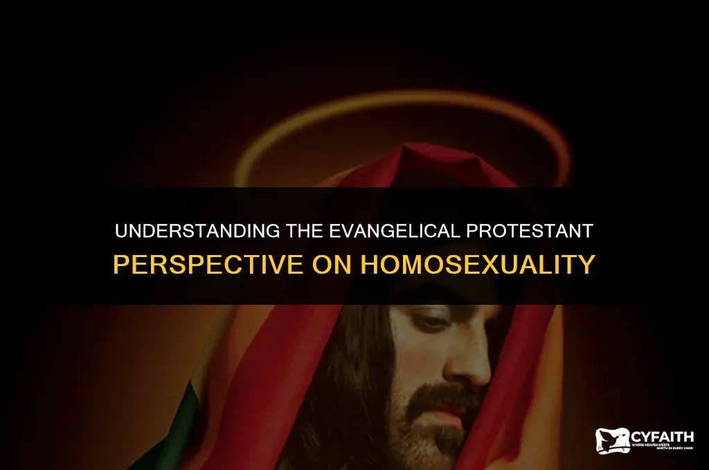 what is the evangelical protestant view on homosexuality
