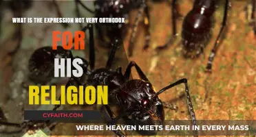 Not Very Orthodox": Exploring Unconventional Religious Expressions and Belief