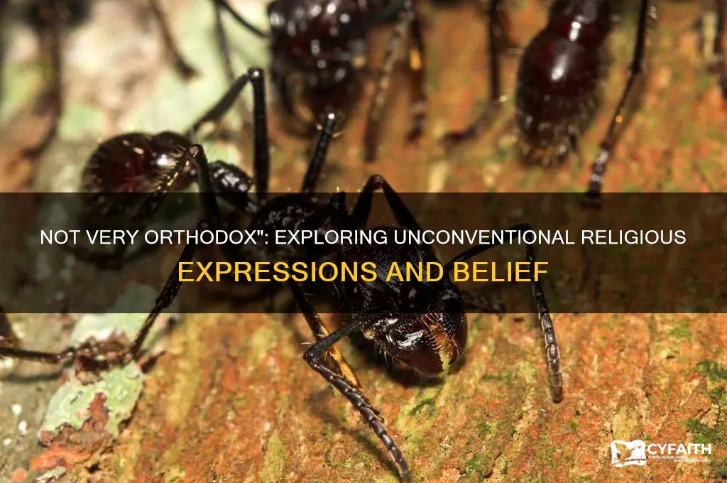 what is the expression not very orthodox for his religion