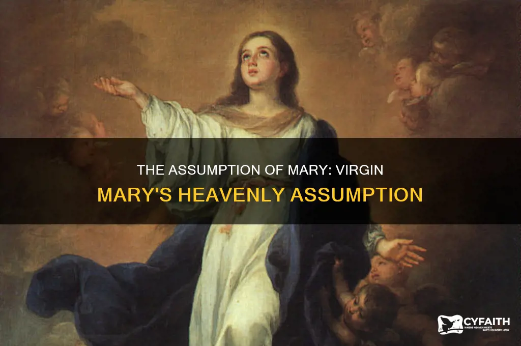 what is the feast of the assumption catholic