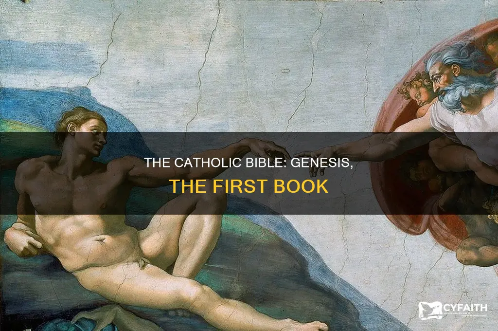 what is the first book of the catholic
