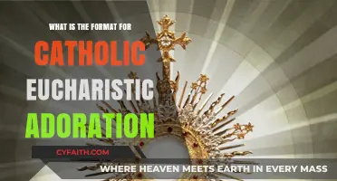 The Practice of Eucharistic Adoration: A Catholic Guide
