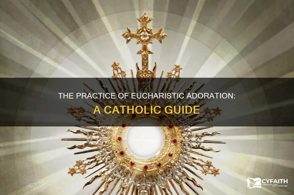 what is the format for catholic eucharistic adoration