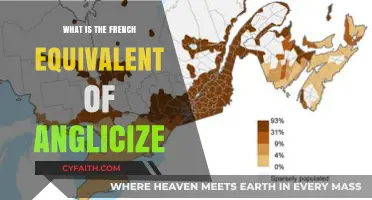 Understanding Francization: The French Equivalent of Anglicize Explained
