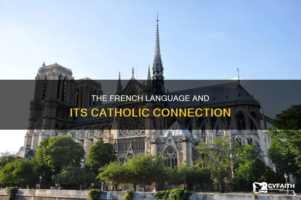what is the french word for catholic