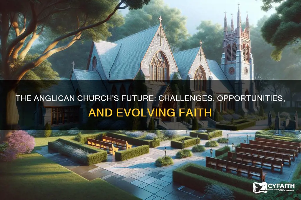 what is the future of the anglican church