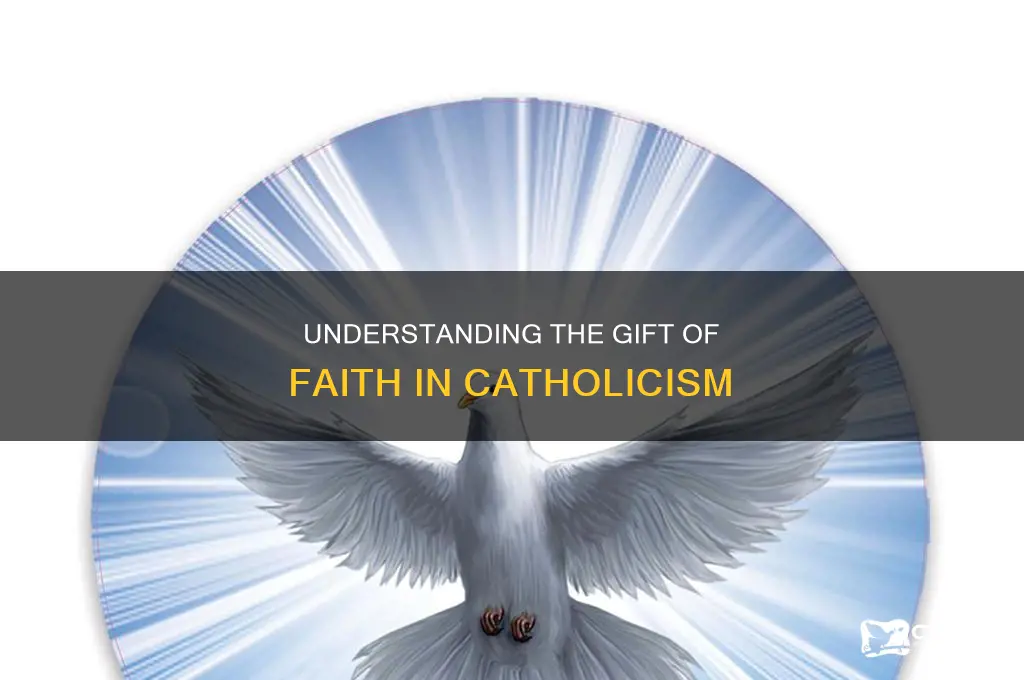 what is the gift of faith catholic