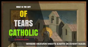 The Mystical Gift of Tears in Catholic Devotion