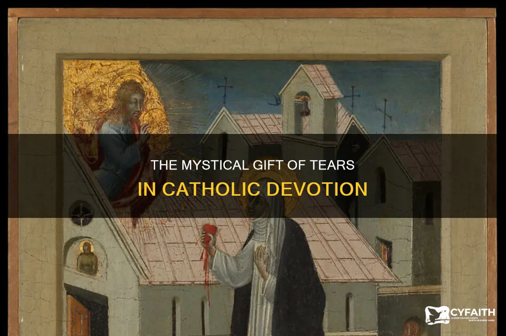 what is the gift of tears catholic