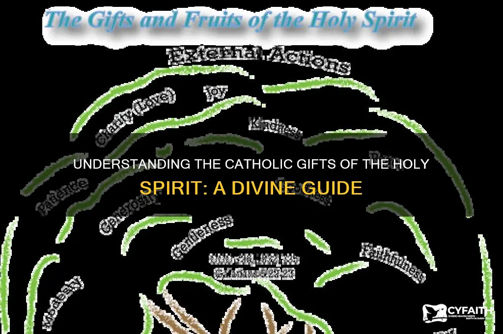 what is the gifts of the holy spirit catholic