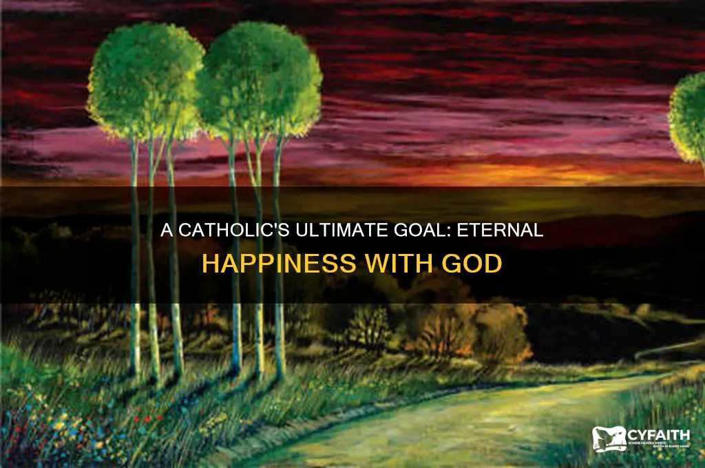 what is the goal of a catholic