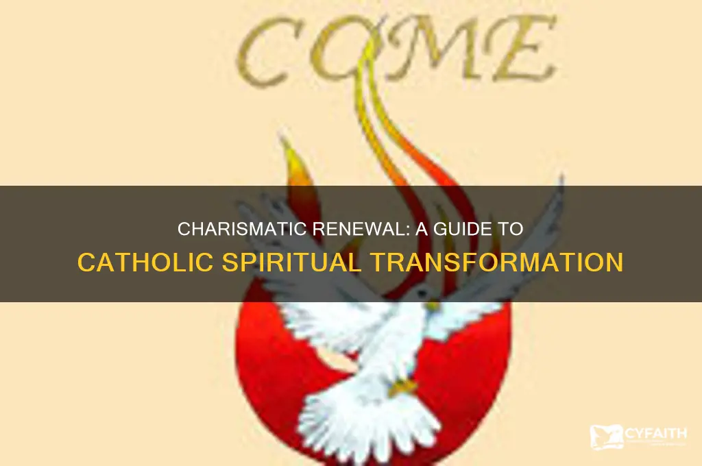 what is the goal of catholic charismatic renewal