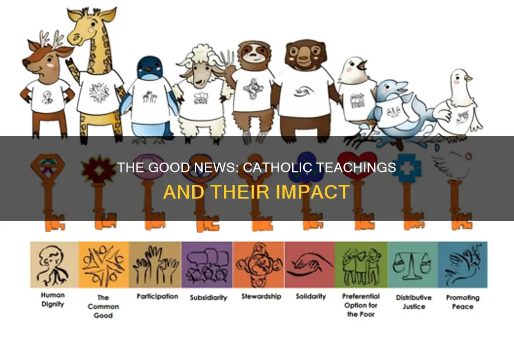 what is the good news catholic
