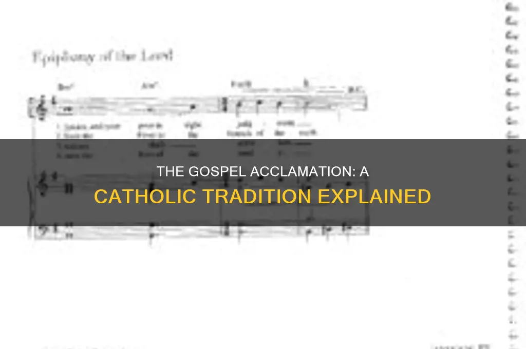 what is the gospel acclamation catholic