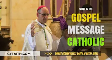 The Gospel Message: Catholic Faith Explained