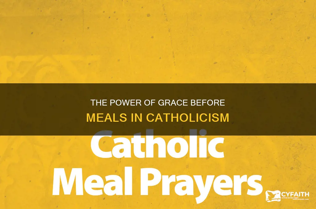 what is the grace before meals for catholics