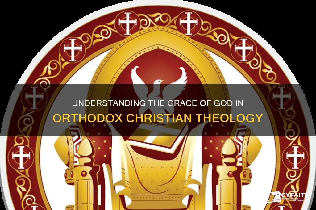 what is the grace of god orthodox