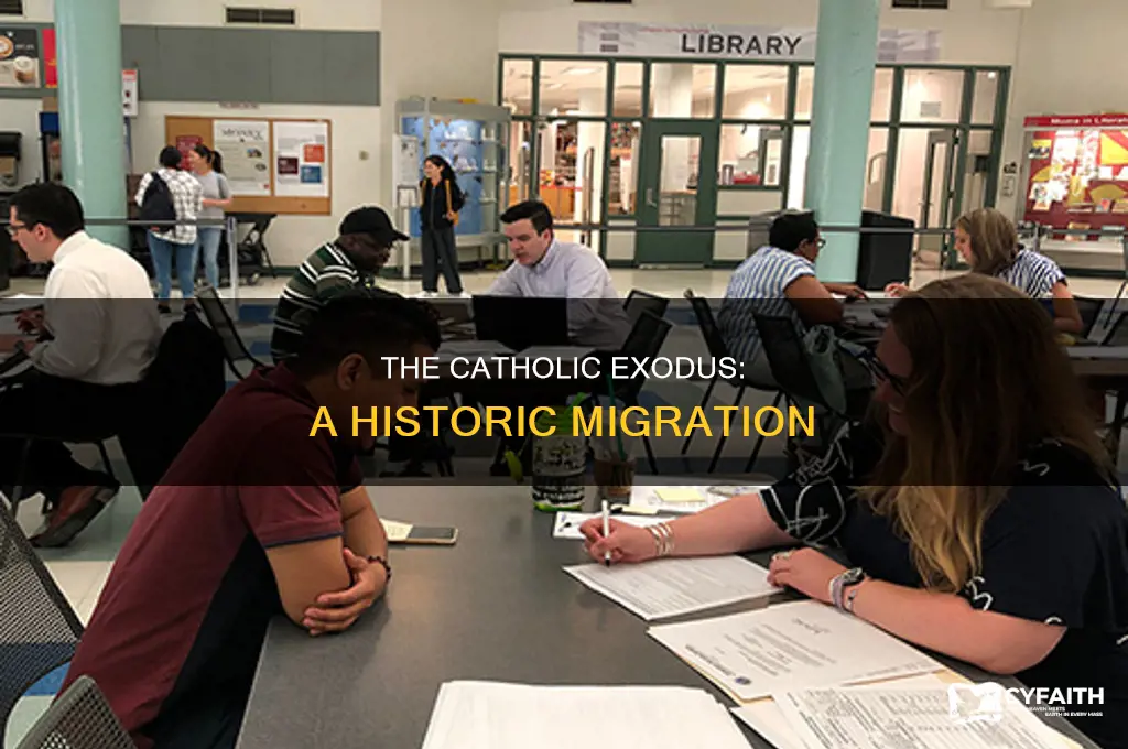 what is the great catholic migration