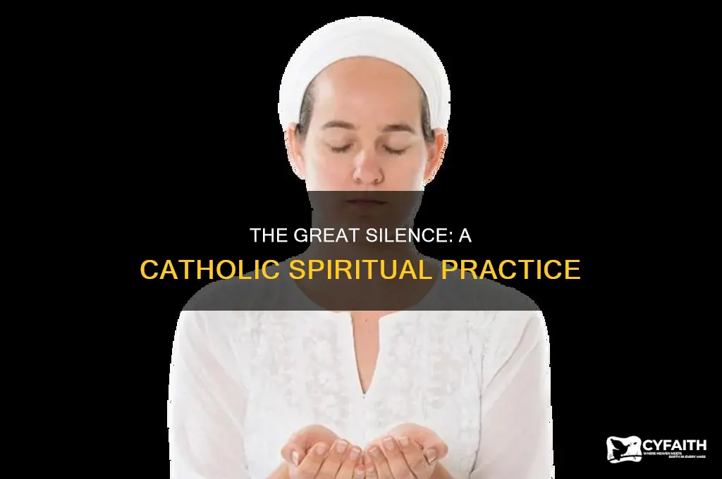 what is the great silence catholic