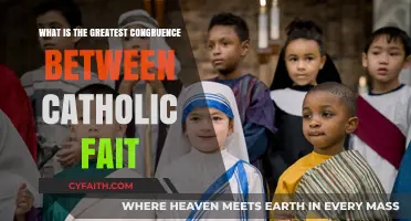 Exploring the Core Congruence of Catholic Faith