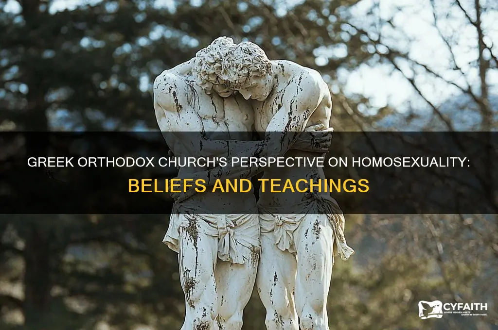 what is the greek orthodox stance on homosexuality
