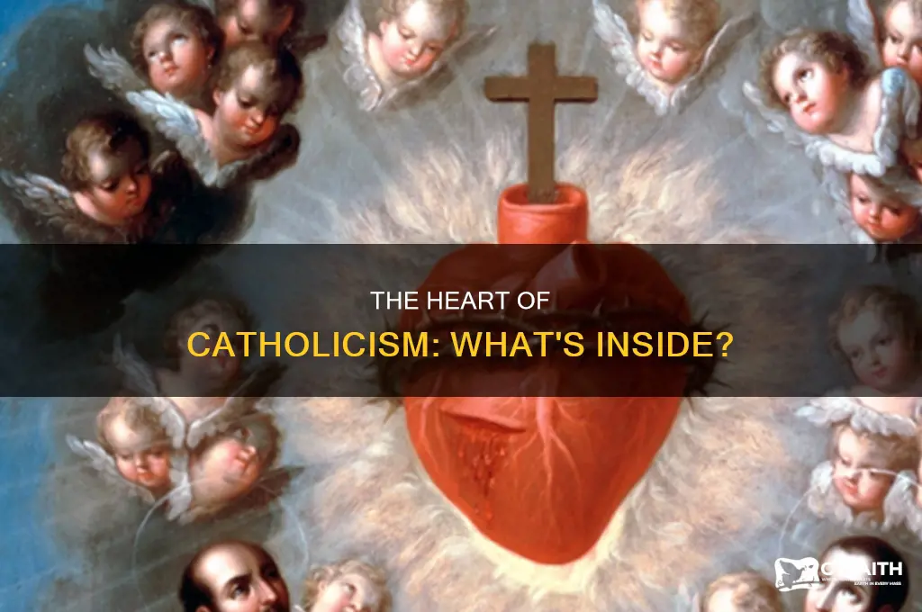 what is the heart catholic answers