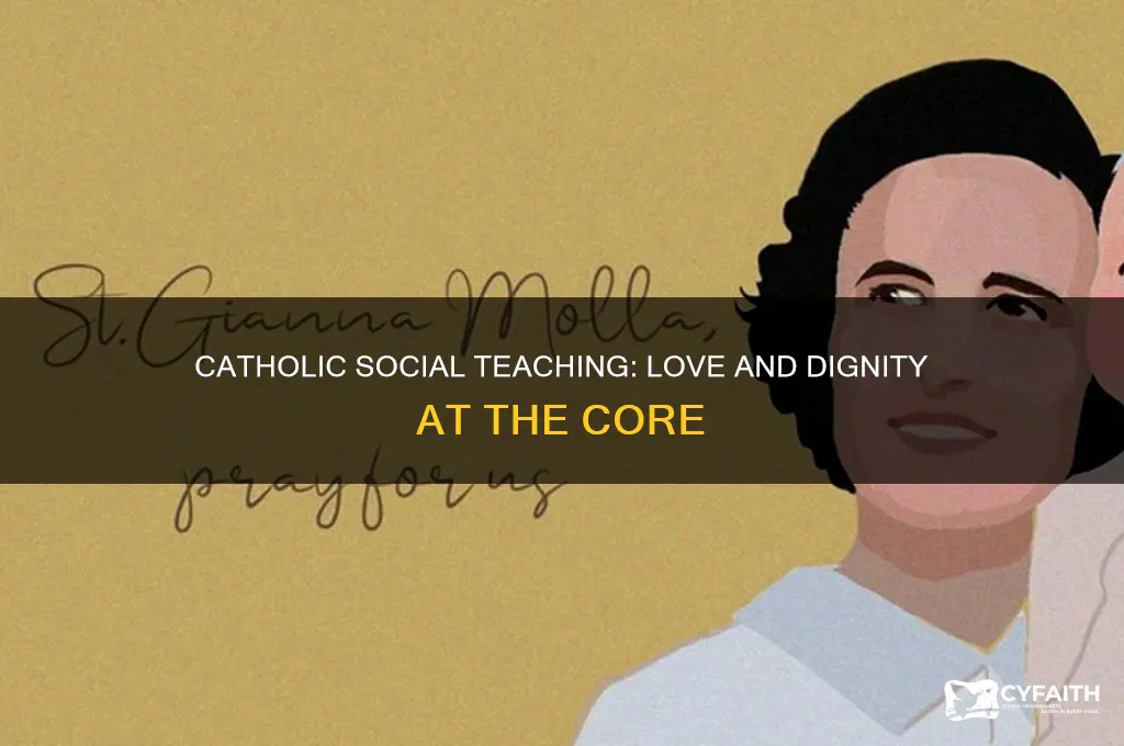 what is the heart of catholic social teaching