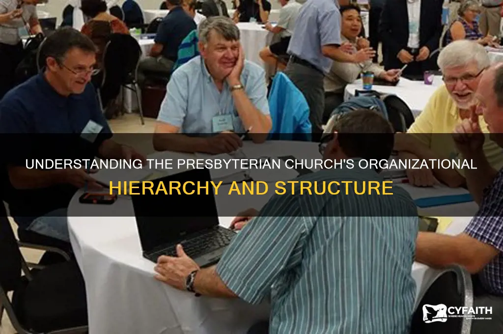 what is the hierarchy of the presbyterian church